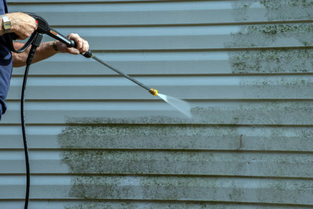 Best Residential Pressure Washing Services  in Roxboro, NC