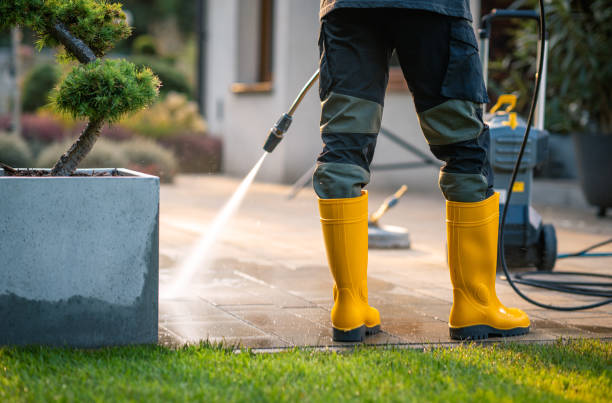 Best Power Washing Near Me  in Roxboro, NC